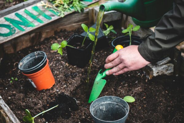 Urban Farming (5)
